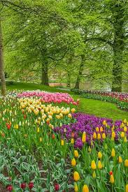 Pin By Luiza Mara On Thien Nhien Beautiful Gardens Most Beautiful Gardens Famous Gardens