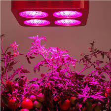 Types of fluorescent grow lights and systems. Can You Really Grow Veggies Indoors With Led Grow Lights