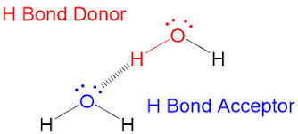 How Do You To Tell When A Hydrogen Bond Will Occur?