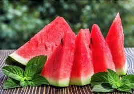 We did not find results for: ØªÙØ³ÙŠØ± Ø­Ù„Ù… Ø§Ù„Ø¨Ø·ÙŠØ® Ø±Ø¤ÙŠØ© ÙˆØªÙØ³ÙŠØ± Ø­Ù„Ù… Ø§Ù„Ø¨Ø·ÙŠØ® Ù„Ù„Ù…Ø·Ù„Ù‚Ù‡ Ø§Ù„Ù…ÙˆØ¶ÙˆØ¹ Ø§Ù„ØªØ§Ù„ÙŠ