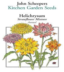 They are great to use for: The Strawflower Mixture John Scheepers Kitchen Garden Seeds