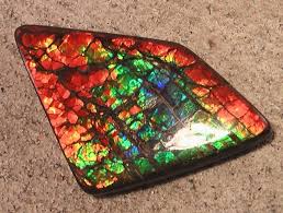 Top Quality Big Dragonskin Rainbow Natural Ammolite Gemstone Ammolite Gemstones Stones And Crystals