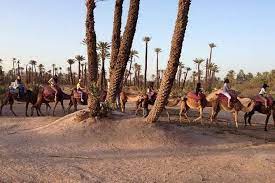 This place has magical views of the village barber with its desert plateaus and the lush green groves of palms. Spacetraveller Activity Private Majorelle Garden And