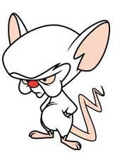 Pinky and the brain is an american animated television series that was created by tom ruegger that premiered on kids' wb on september 9, 1995. Pinky And The Brain Wikipedia