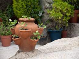 What Do I Plant In My Herb Pot Herb Pots Plants Edible Gardens