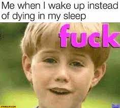 Me When I Wake Up Instead Of Dying In My Sleep Kid Fck Starecat Com