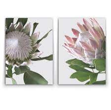 Wall Art King And Queen Protea A 244 Protea Art Floral Drawing Art