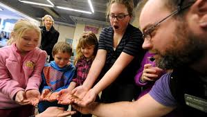 PHOTOS: Animals of the 100th Pennsylvania Farm Show, 2016