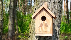 Maybe you would like to learn more about one of these? How To Hang A Birdhouse And Mounting A Nesting Box