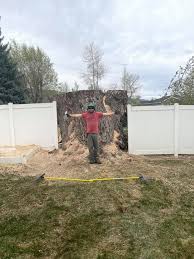 Tree care services is an electrical and electronic manufacturing company located in 824 n 3000 w, vernal, utah, united states. A New Leaf Tree Care Llc Home Facebook
