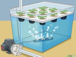 A hydroponic garden lets you grow plants using only water and nutrients, no soil required. Pin On Yard