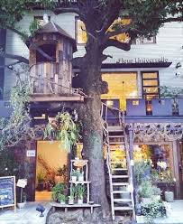 ドラマの舞台にもなった広尾のツリーハウスカフェ レ グラン ザルブル ツリーハウス ツリーハウス カフェ ハウス