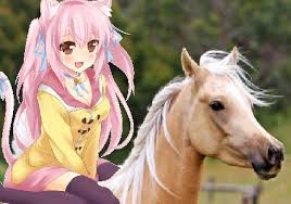 Check spelling or type a new query. A Sweet Cute Catgirl Riding On Her Beautiful Palomino Horse Catgirls Fan Art 38975347 Fanpop