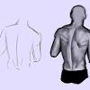 The muscles of the back ﻿ are a group of strong, paired muscles that lie on the posterior aspect of the trunk. 1