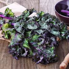 Voici une autre idée pour cuisiner le chou allié de votre santé ! Chou Kale Red Russian Nt Ferme De Sainte Marthe