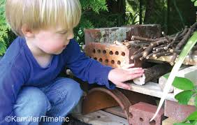 How to build a bug hotel - Amateur Gardening