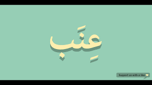 How To Pronounce Grape In Arabic عنب Youtube