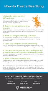 You just might be going or headed into anaphylactic shock. How To Treat A Bee Sting Stinging Insects Home Pest Control