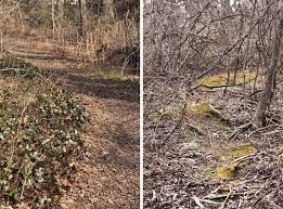 Meroke preserve is situated southwest of bellmore. Meroke Preserve The Design Inspirationalist