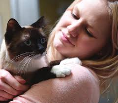 2018-04-19-EHS-2017 AR-all stats moved.indd