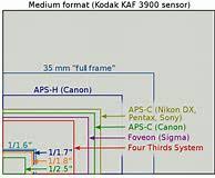 Digital Camera Sensor Size Comparison And How It Can Affect You