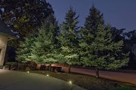 Naperville Tree Lighting Outdoor Lighting In Chicago Il Outdoor Accents