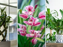 Ashley_conejo onlyfans leaks Instead consider supporting