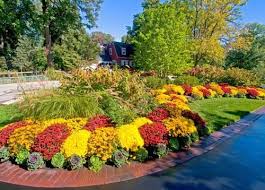 One of the easiest ways to add some interest to your home's front yard is to plant a colorful border of flowering plants to enliven your entryway. 37 Best Flower Hedge Ideas 23 Is So Easy Fall Landscaping Front Yard Landscaping Front Yard Landscaping Design