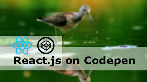 Learn about a react app example. How To Run React Js In Codepen Io React Tutorial For Beginners 2020 Youtube