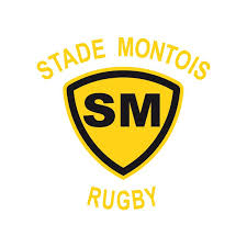 Brandcrowd's logo maker helps you create your own logo design. Mont De Marsan Rugby Stade Montois Rugby Rugby Sport De Rugby Mont De Marsan