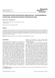 Image result for Schizostephanus alatus