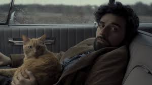 Baixar filmes via torrent e assistir online. Is There A Cat In This Movie Catinthemovie Twitter