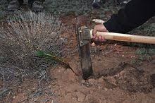 How to use a hoe in the garden. Hoe Tool Wikipedia