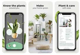 If you're looking for the best plant identification app, we have nine picks we tested and reviewed! The 10 Best Apps For Identifying Plants 2020 S Cream Of The Crop