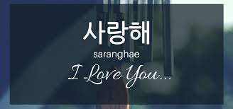 Read apa arti cinta itu??? 14 Kata Kata Sayang Bahasa Korea Dan Artinya Romantis Cinta
