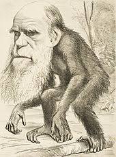In this context, the term darwinism is also used to emphasize the aspect of natural selection. Darwinism Wikipedia