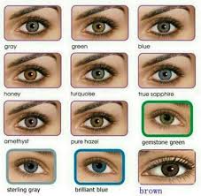 all about the human eye color chart coloured contact