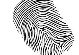 There are discounts and offers put forward by the companies that conduct these tests. Private Detective Agency Lie Detector Company Philippines