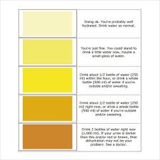 Urine Color What Does It Say About Your Hydration Nature S Sunshine Color Of Urine Water For Health Water Intake Chart