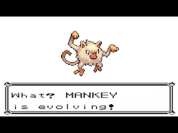 Evolution, stats, moves, location, type weaknesses, data, other forms and more! Pokemon Yellow Mankey Evolve Into Primeape Danumuh Youtube