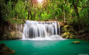 Maybe you would like to learn more about one of these? Tropical Rainforest Tropical Paradise Waterfall 2560x1600 Download Hd Wallpaper Wallpapertip