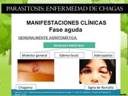 Parasitosis 2020 v2.0