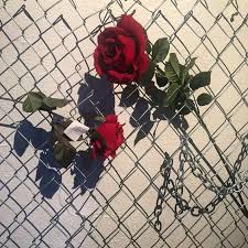 Red aesthetic aesthetic roses flower power red roses streetwear t shirts for women pretty photography inspiration. Red Flower Explore Tumblr Posts And Blogs Tumgir