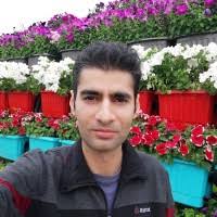 100+ "Omid Omid" profiles