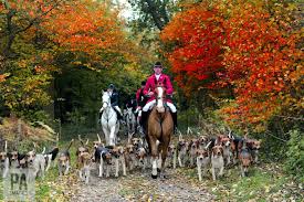 Before you vote, read Mary Webb's 1917 novel on the barbarism of fox hunting