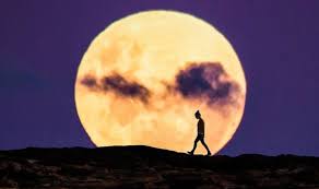 The energy of the final supermoon inspires all zodiac sign to reap the benefits of the hard work and effort they have the moon arrives at a very important point, just after the summer solstice on june 21st and the start of cancer season. Ymewa2n 6nf6jm