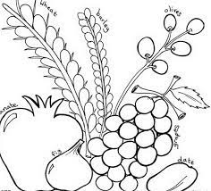 Learn about famous firsts in october with these free october printables. Pin On Jewish Coloring Pages