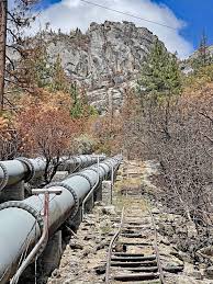 Image result for Mountain Brown 1934 Fleet