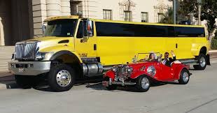 Image result for Limosella maior