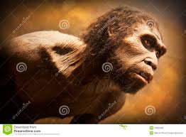 1,720 Neanderthal Photos - Free & Royalty-Free Stock Photos from Dreamstime